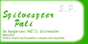 szilveszter pali business card